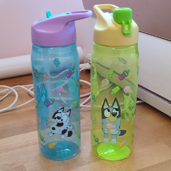 Other - Bluey and Bingo Water Bottles Set